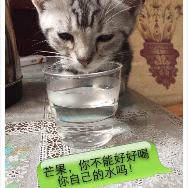 高中毕业证照片必须穿校服吗
